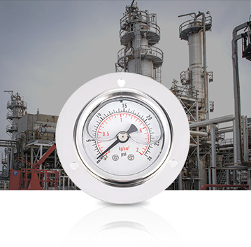 Przemysł petrochemiczny Pressure Gauges